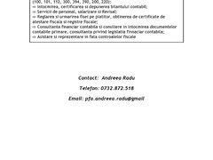 PFA Radu Andreea - Servicii contabilitate